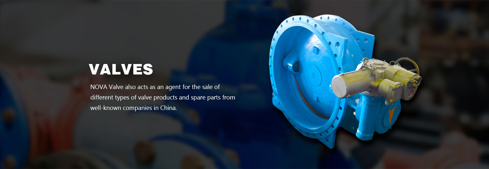 Butterfly Valves