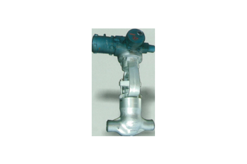 Straight Pattern Globe valve