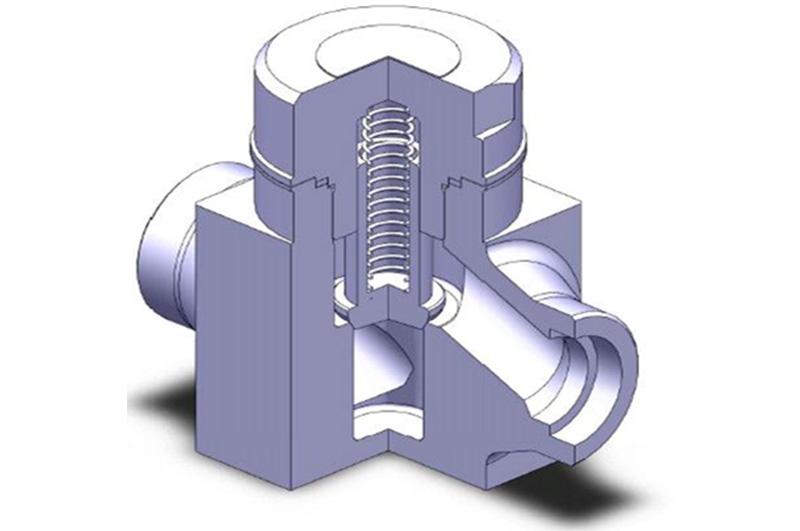 Lift Check Valve