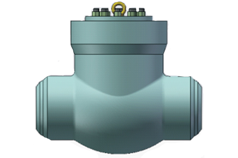 Pressure Seal Swing Check Valve