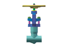 The Working Principle And Characteristics Of Bonnetless Globe Valves