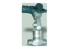 Working Principle And Fault Repair Of Globe Valve